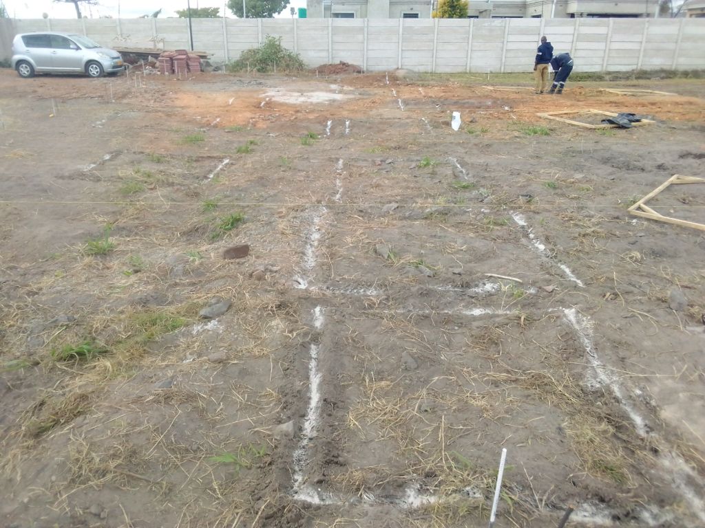 Site Survey